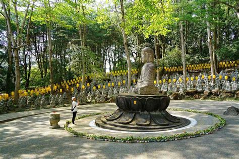 虎邊有水池|禪機山仙佛寺【台視易經風水面面觀